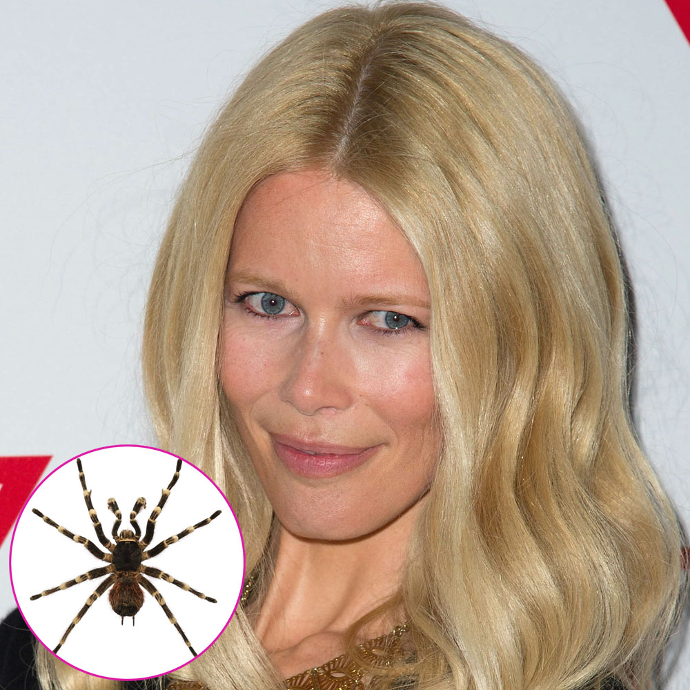 Claudia schiffer hoarder