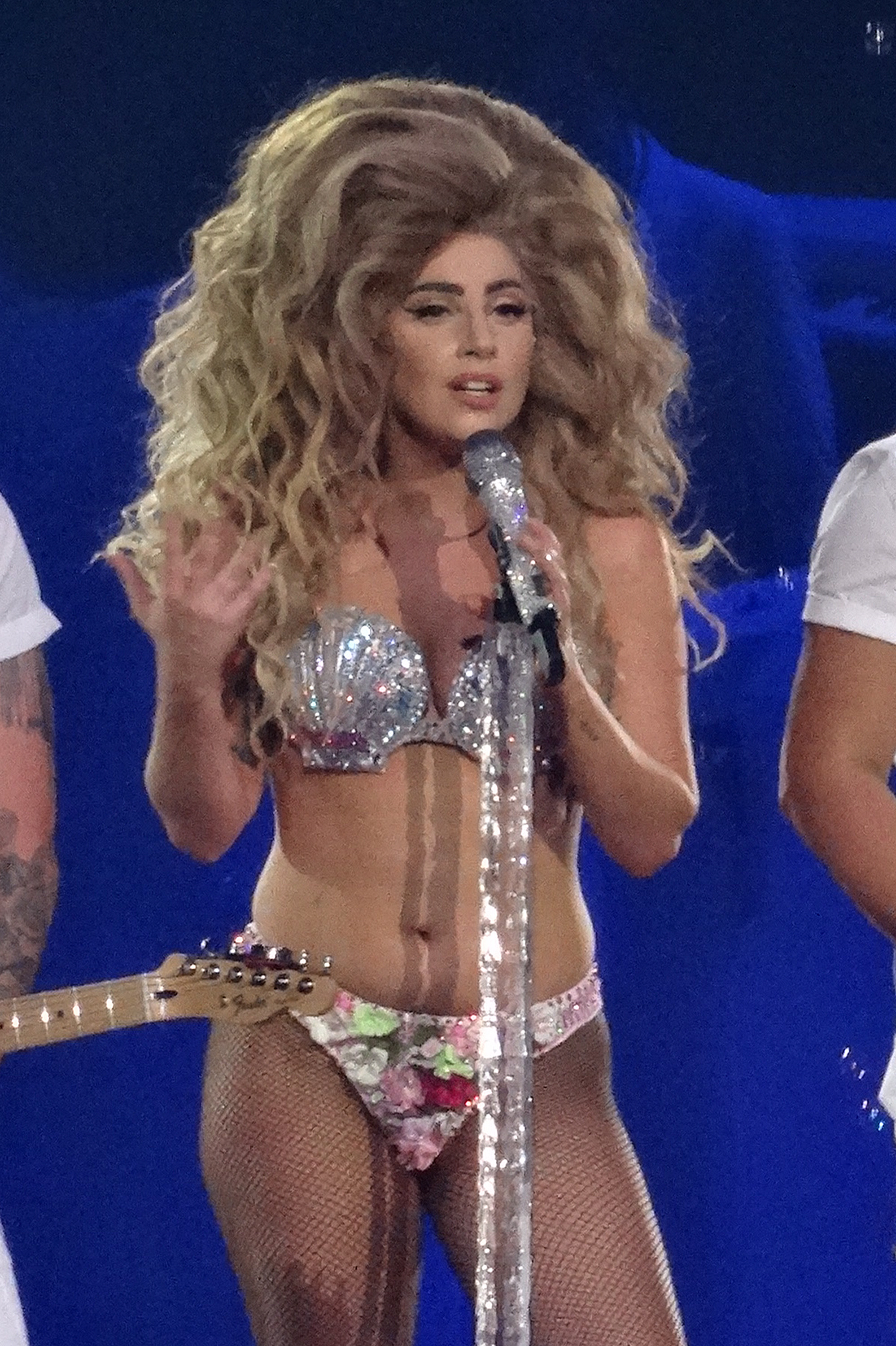 Lady gaga wig