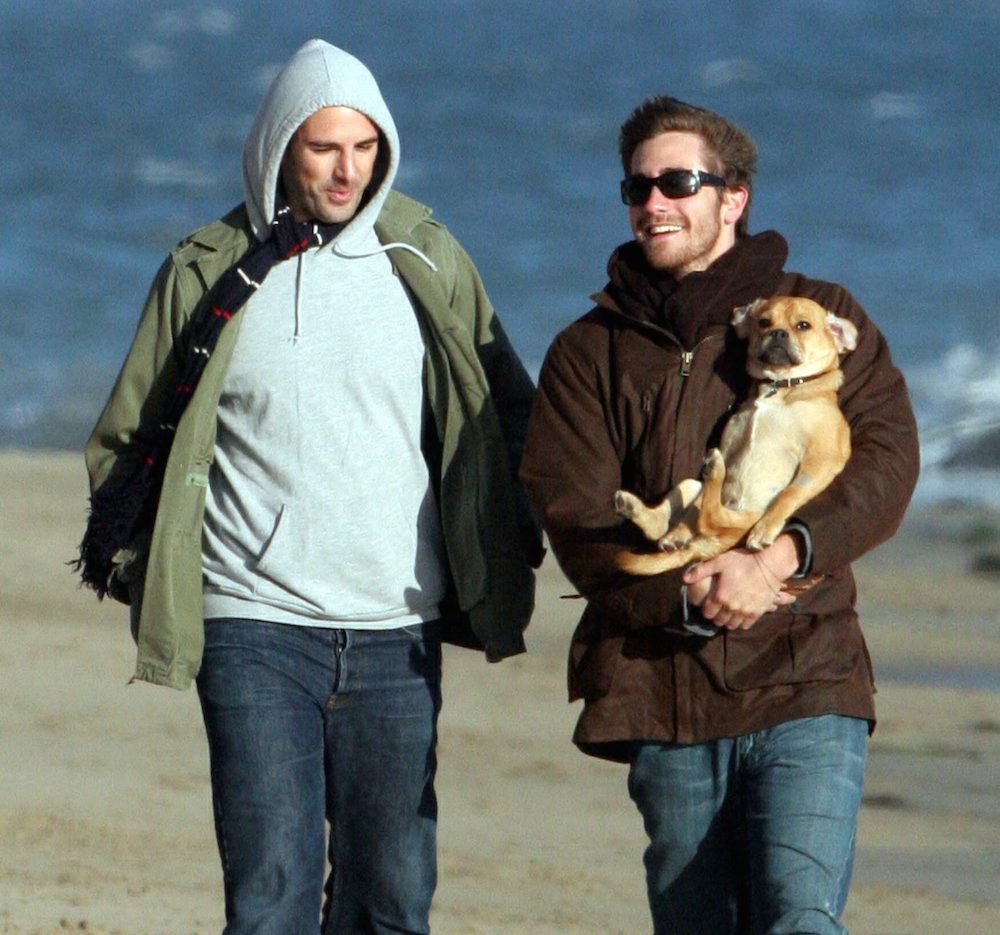 Jake gyllenhaal dog