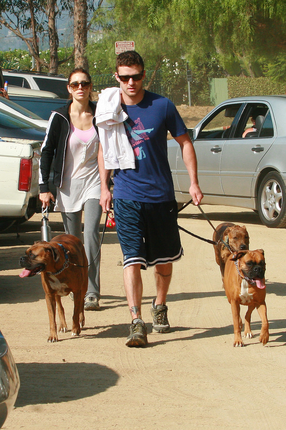 Justin timberlake dog