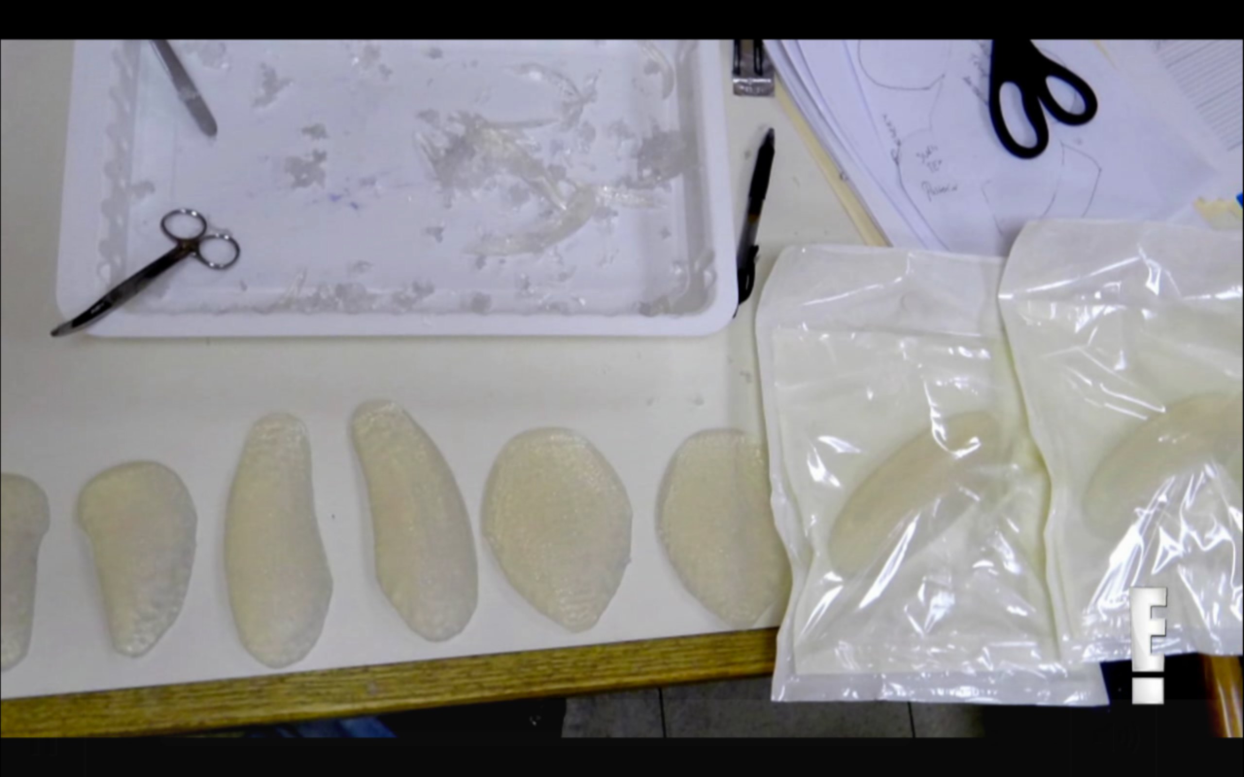 justin jedlica human ken doll