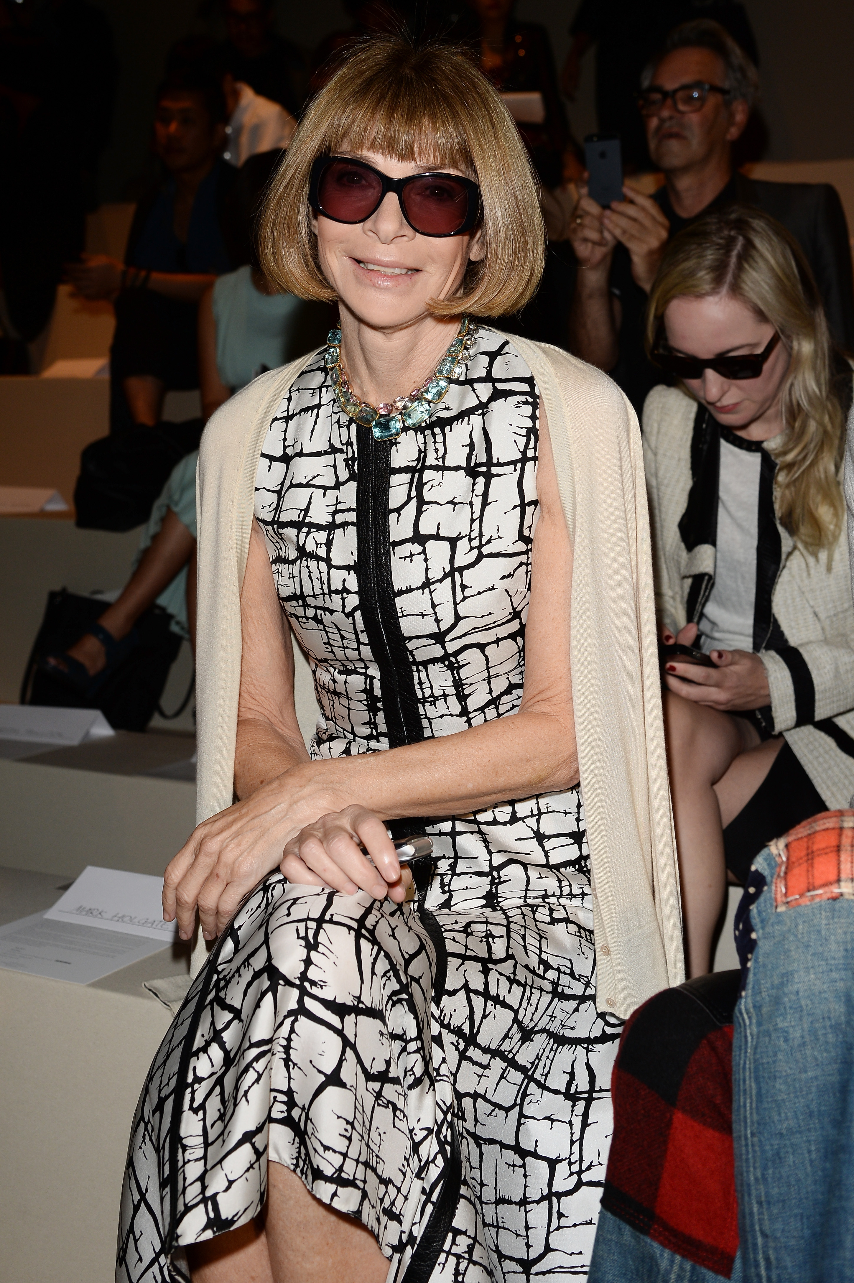 Anna wintour birthday 65