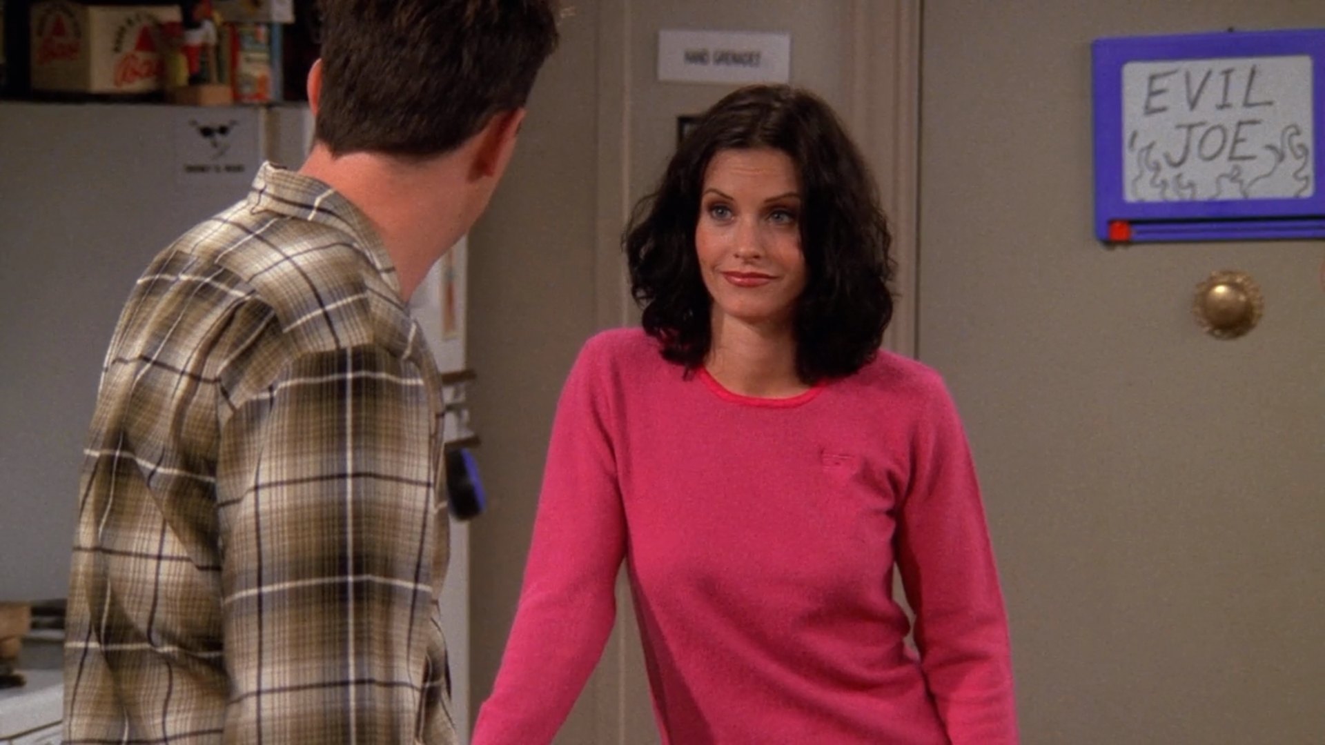 504 the one where phoebe hates pbs evil joe