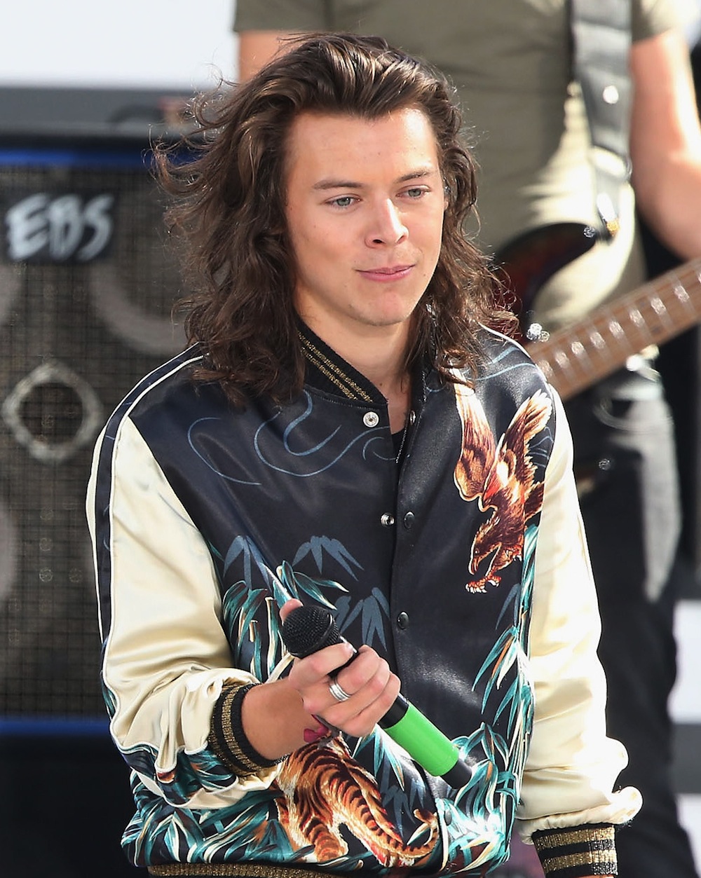 Harry Styles With Straight Hair Kind of Looks Like the Prince From