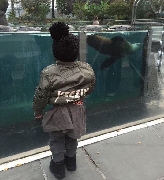 North mid november zoo