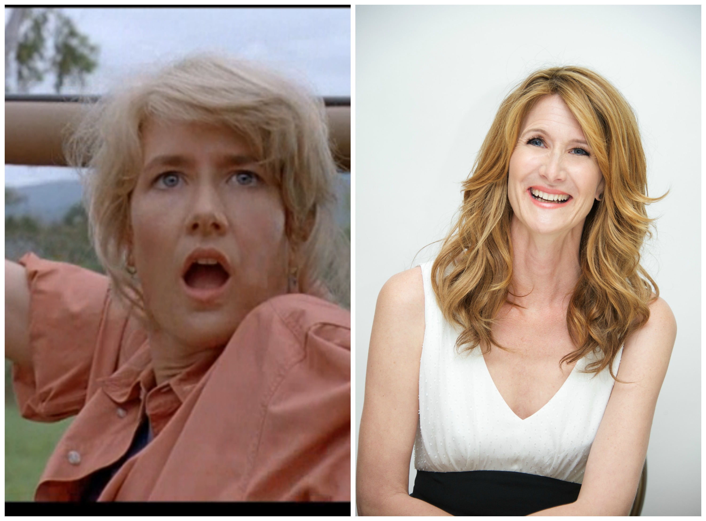 Jurassic park laura dern