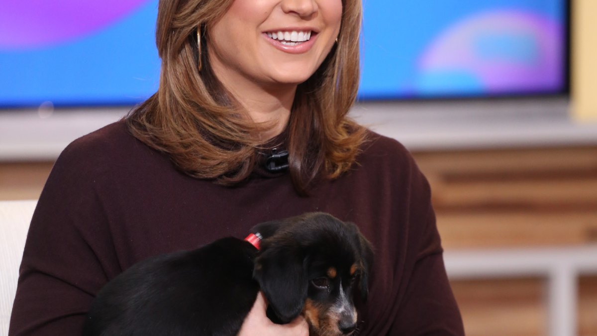Ginger zee baby