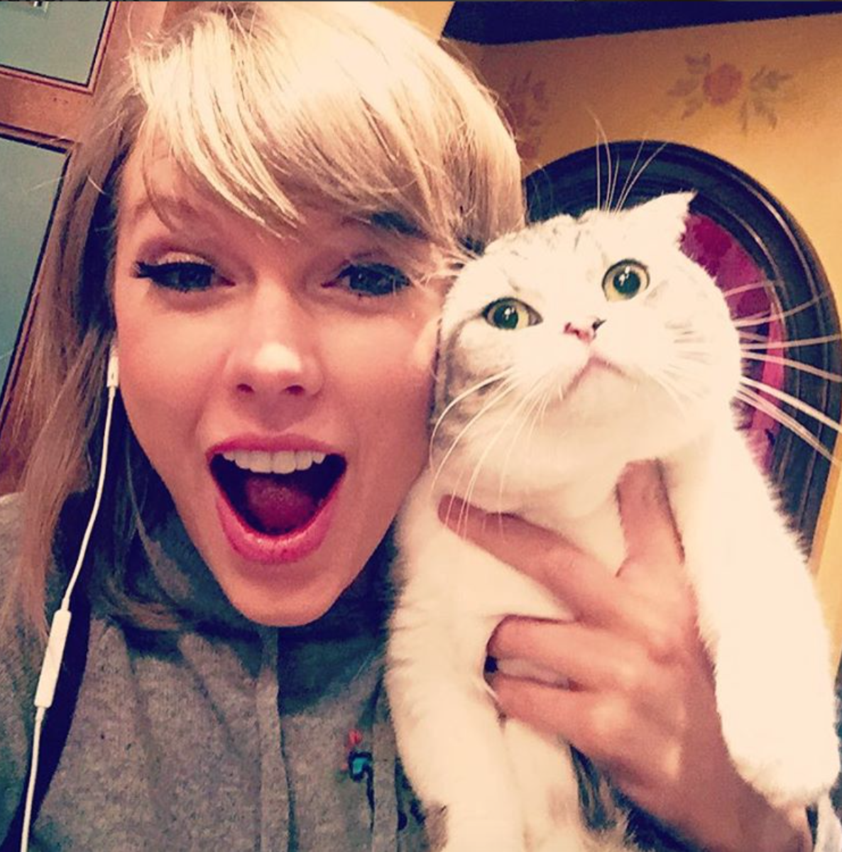 Taylor swift olivia benson selfie