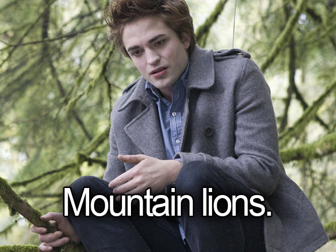 Twilight trivia answer 9