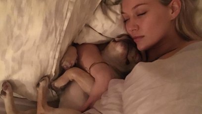Hilary duff dog death