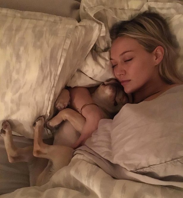 Hilary duff dog death