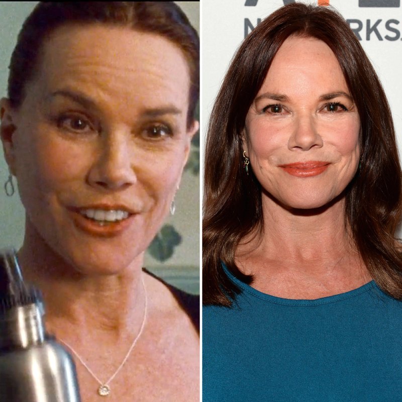 Barbara hershey black swan