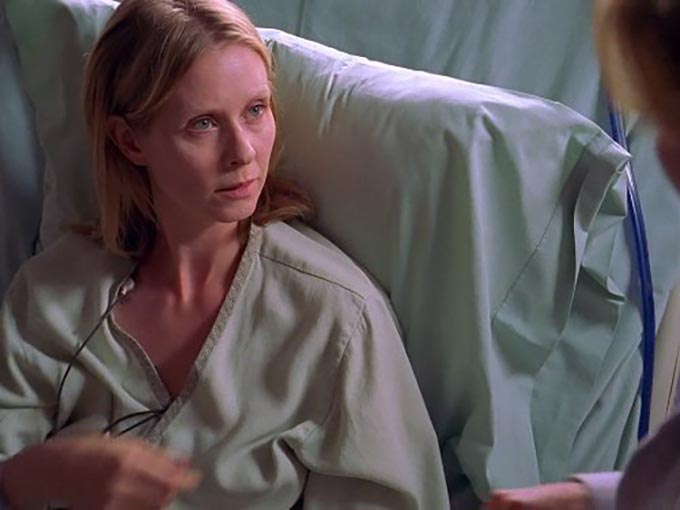 Cynthia nixon house md