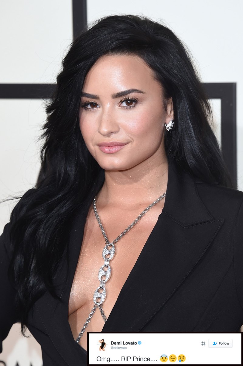 Demi lovato prince