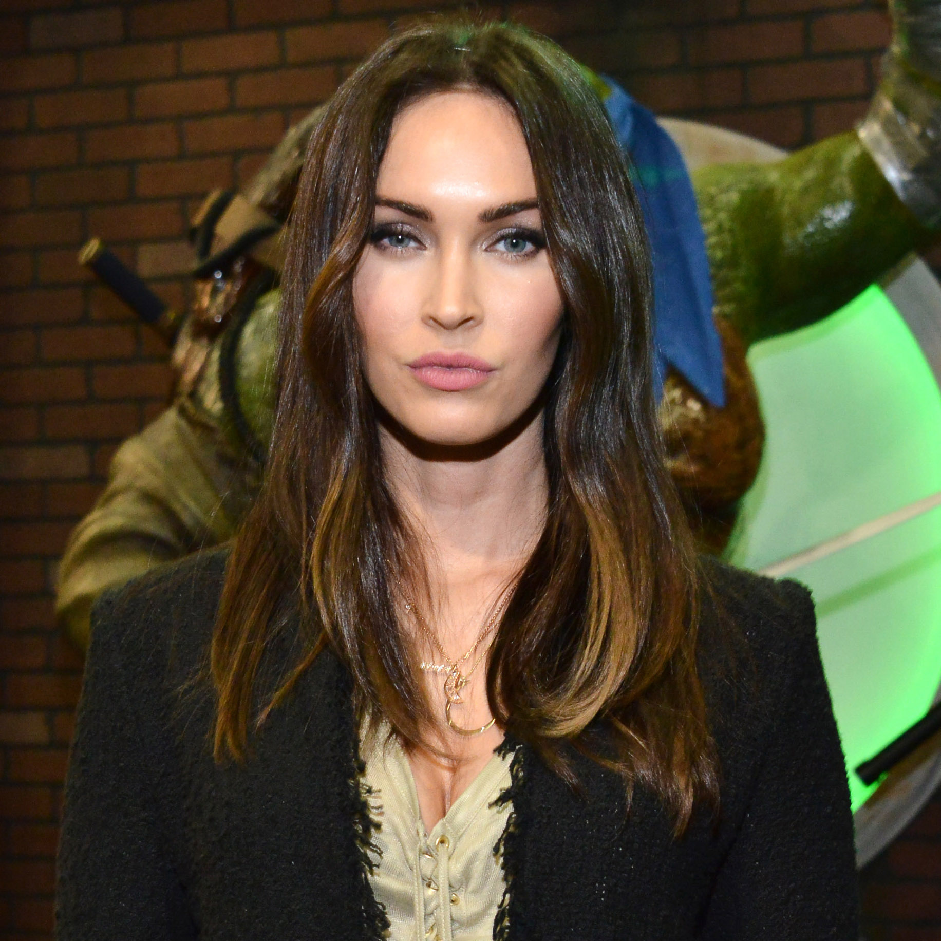 Megan fox plastic surgery 8