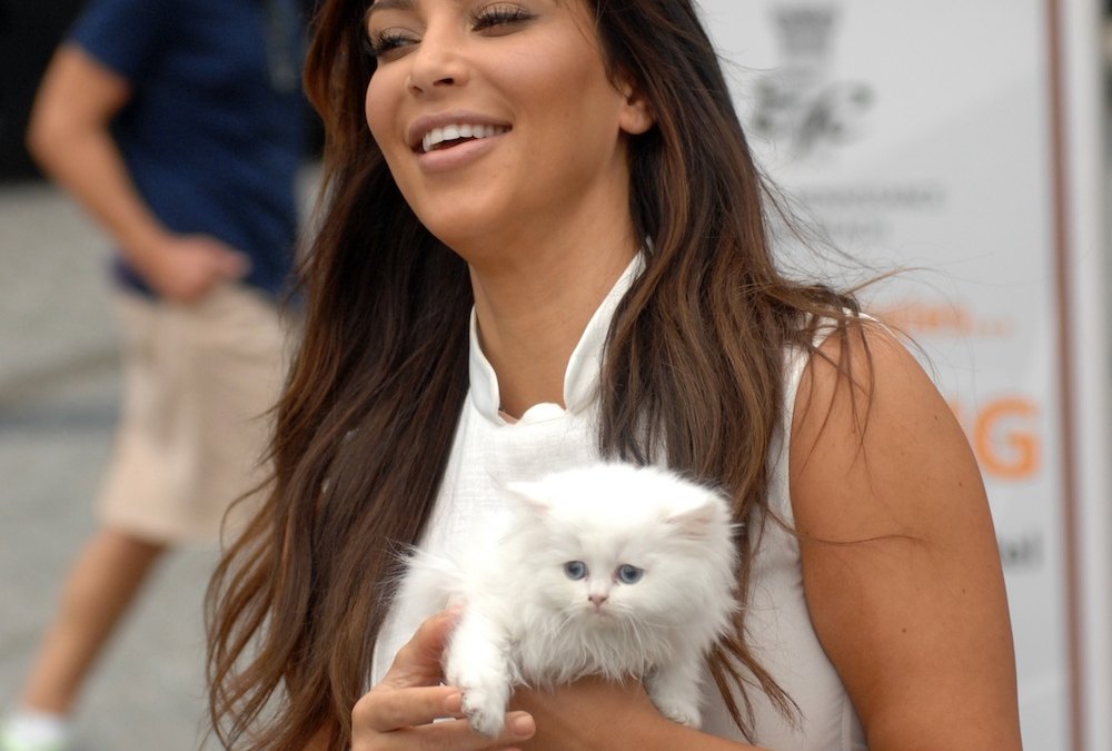Kim kardashian cat mercy north west