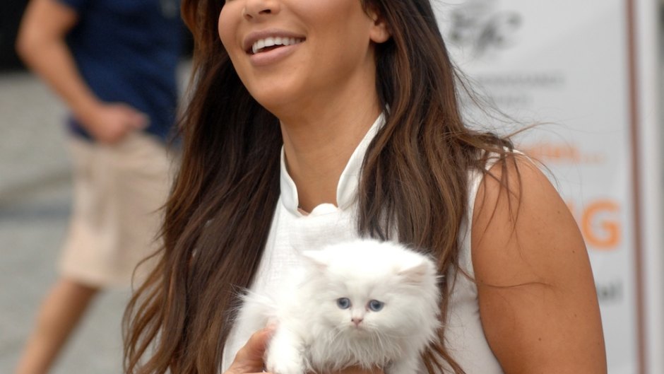 Kim kardashian cat mercy north west