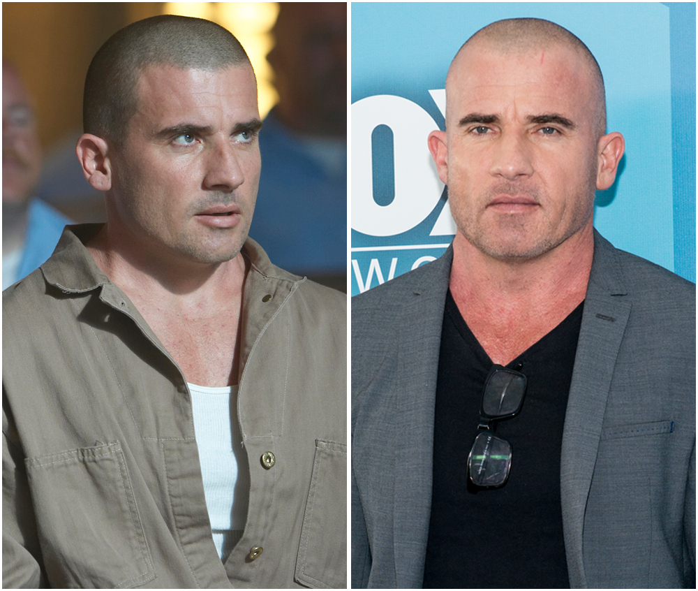 Dominic purcell prison break
