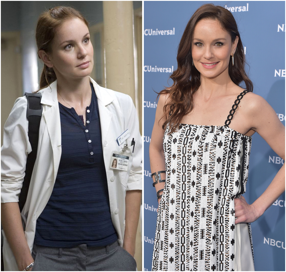 Sarah wayne callies prison break