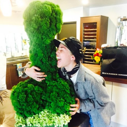 Miley cyrus penis shaped plant