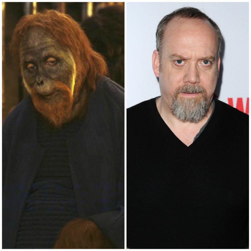 Pota paul giamatti