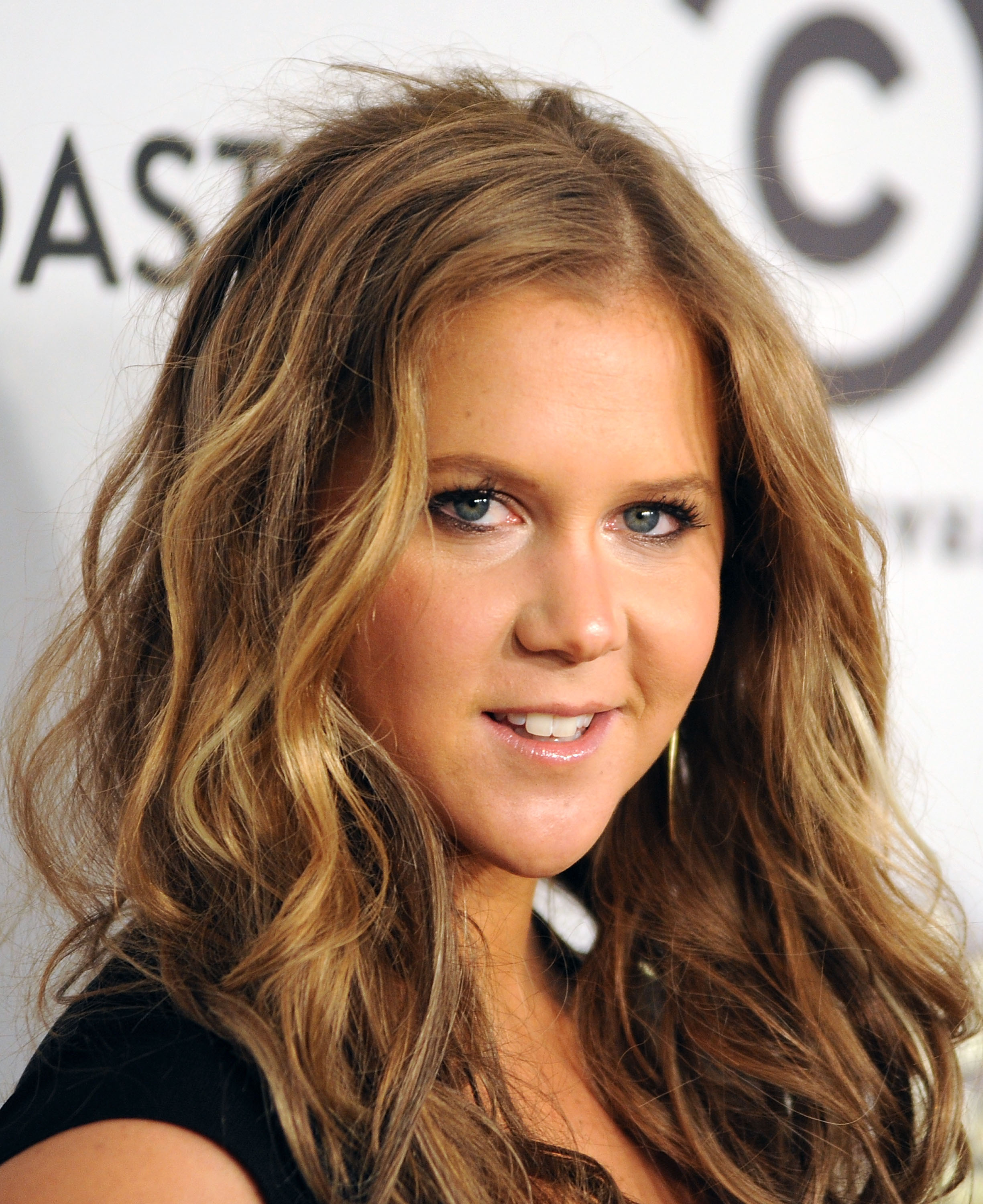 Amy Schumer Lesbian Nude - 11 Shocking Facts We Learned From Amy Schumer's Memoir 'The Girl With the  Lower Back Tattoo' - Life & Style