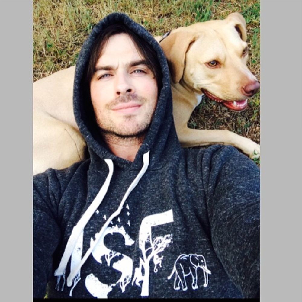 Ian somerhalder dog
