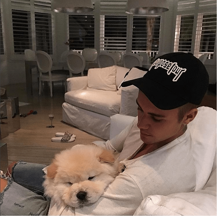 Justin bieber dog