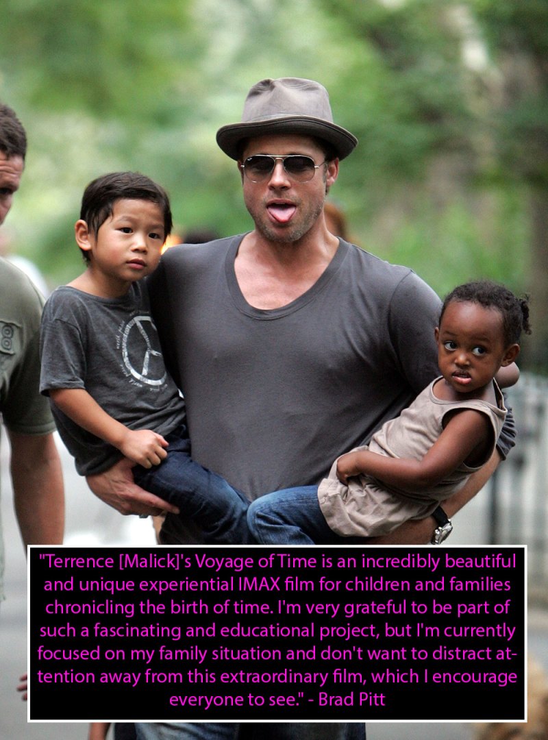 Brad pitt brangelina statement