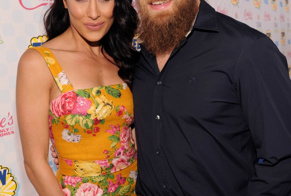 Brie bella pregnant daniel bryan