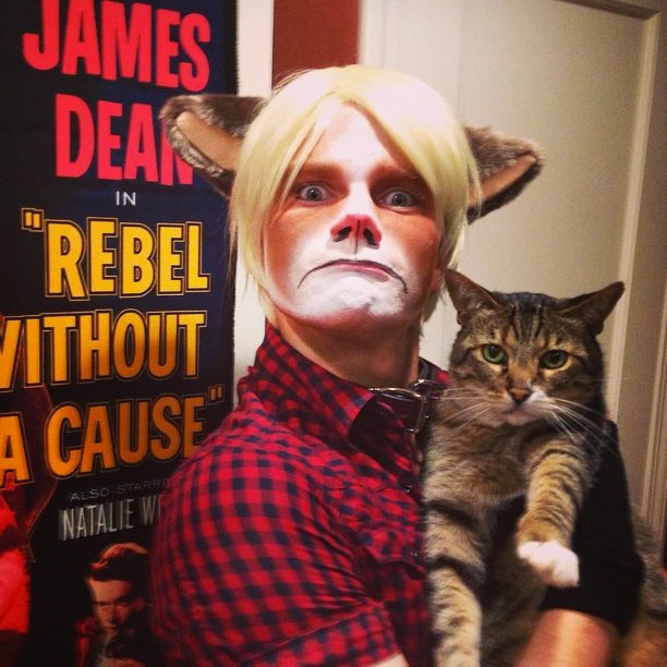 Chris colfer halloween cat