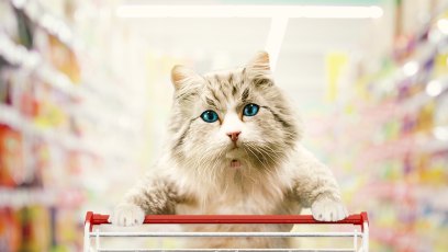 Ninelives grocerystore2