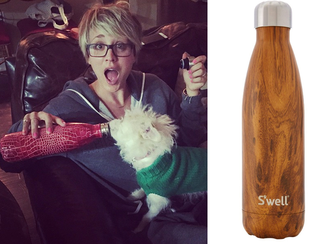 kaley cuoco swell bottle kaley cuoco swell bottle