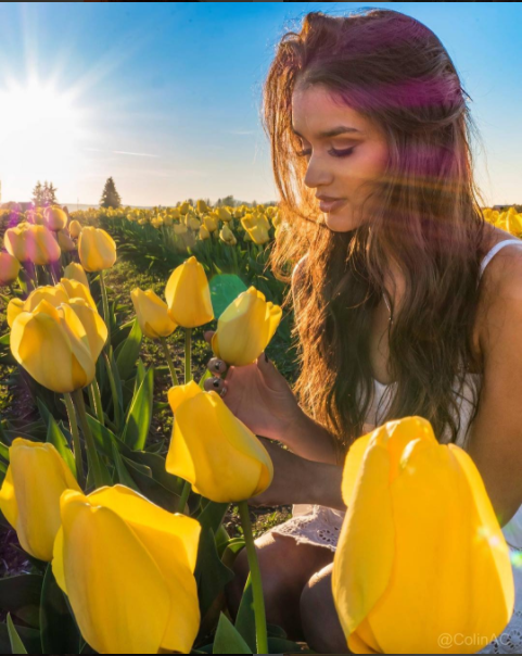 The bachelor taylor 2