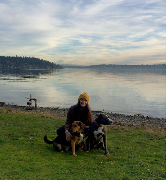 The bachelor taylor 3