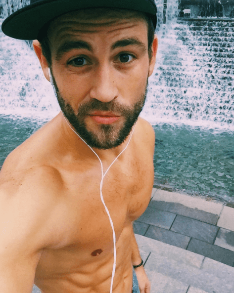 Nick viall 1 7