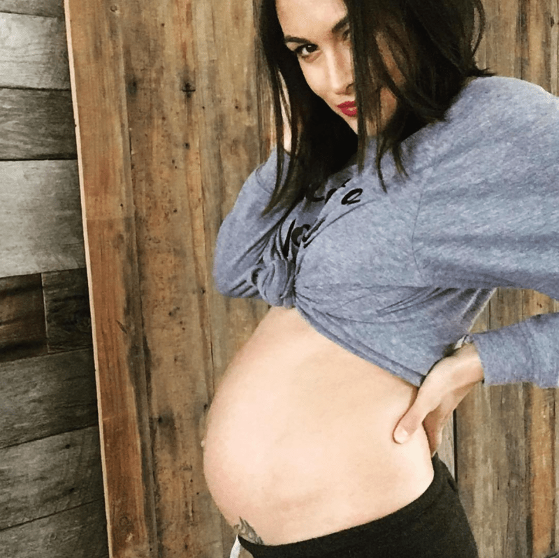 Brie bella pregnant 23 weeks