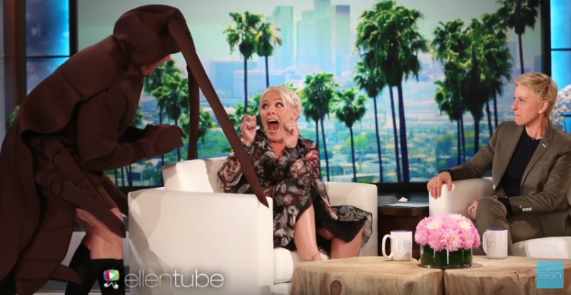 Pink being scared on ellen