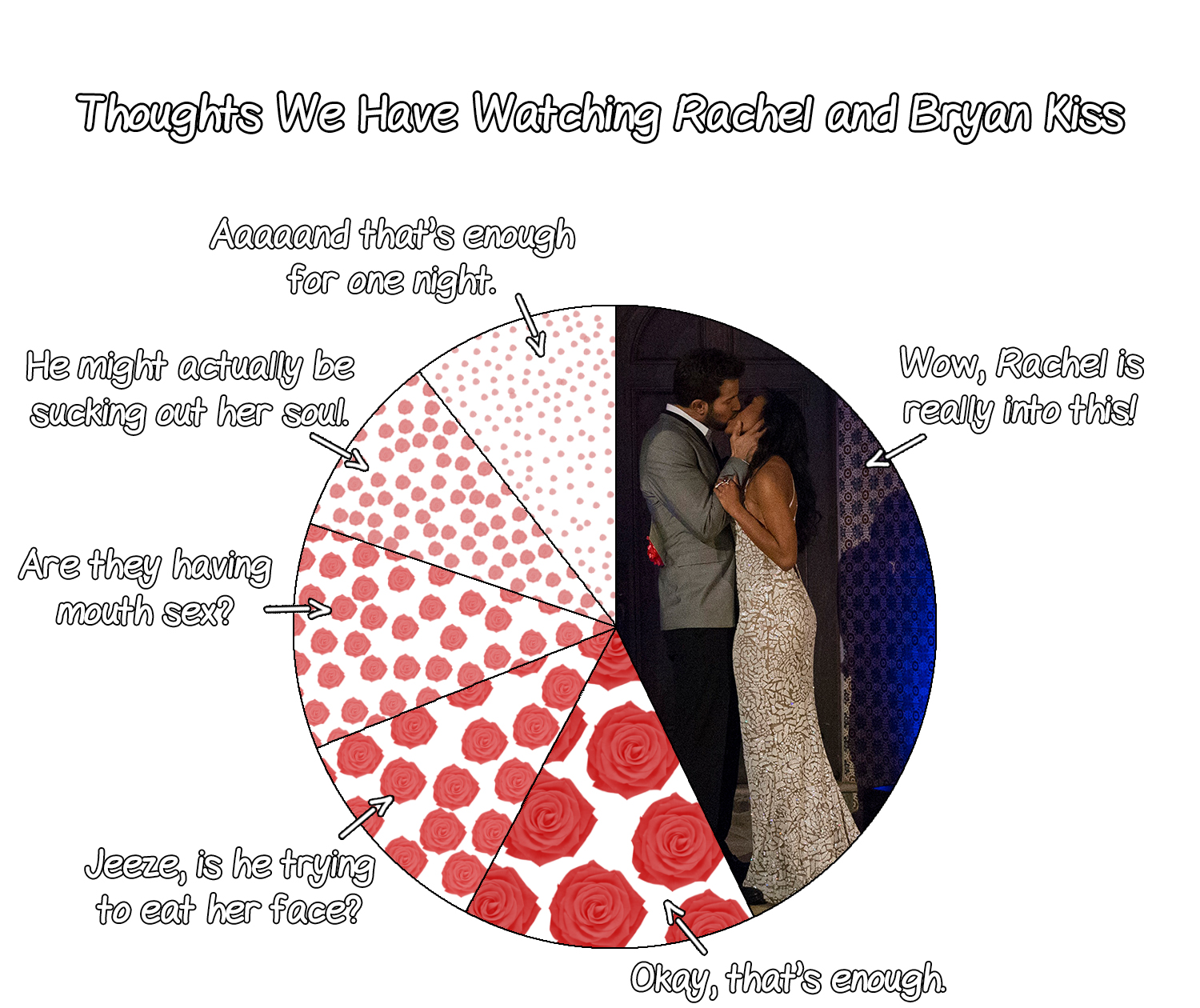 bryan rachel the bachelorette pie chart bryan rachel the bachelorette pie chart