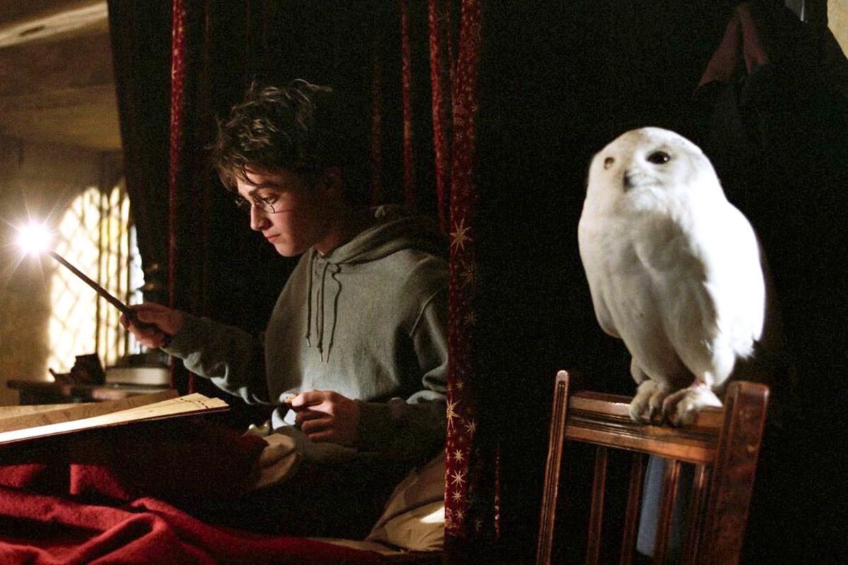 harry potter 2 harry potter 2