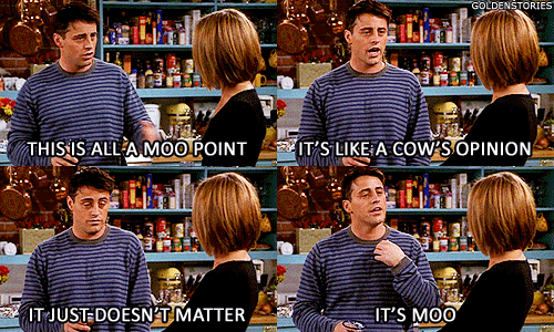 moo-point-joey