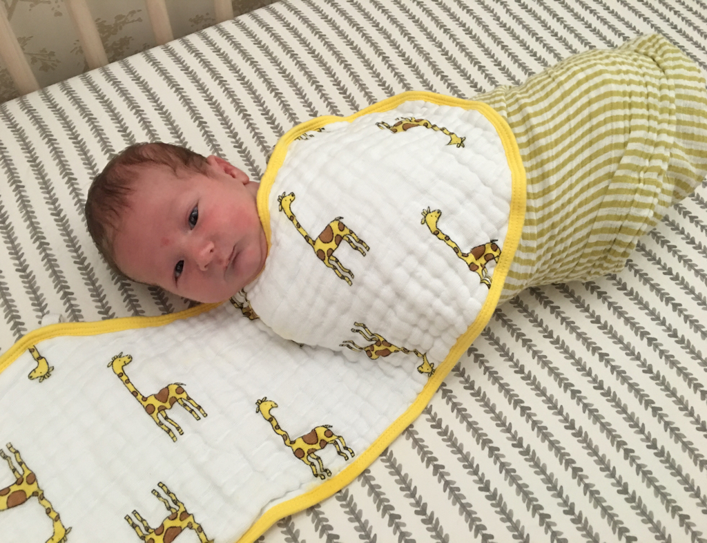 whitney port whitneyport.com whitney port whitneyport.com