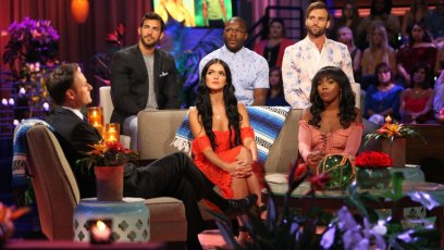 Bachelor paradise spoilers