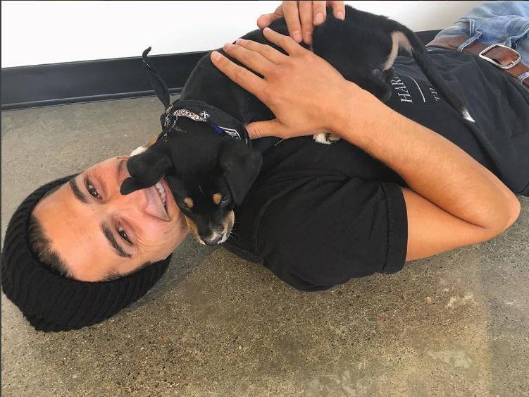 Bachelor paradise wells adams 2