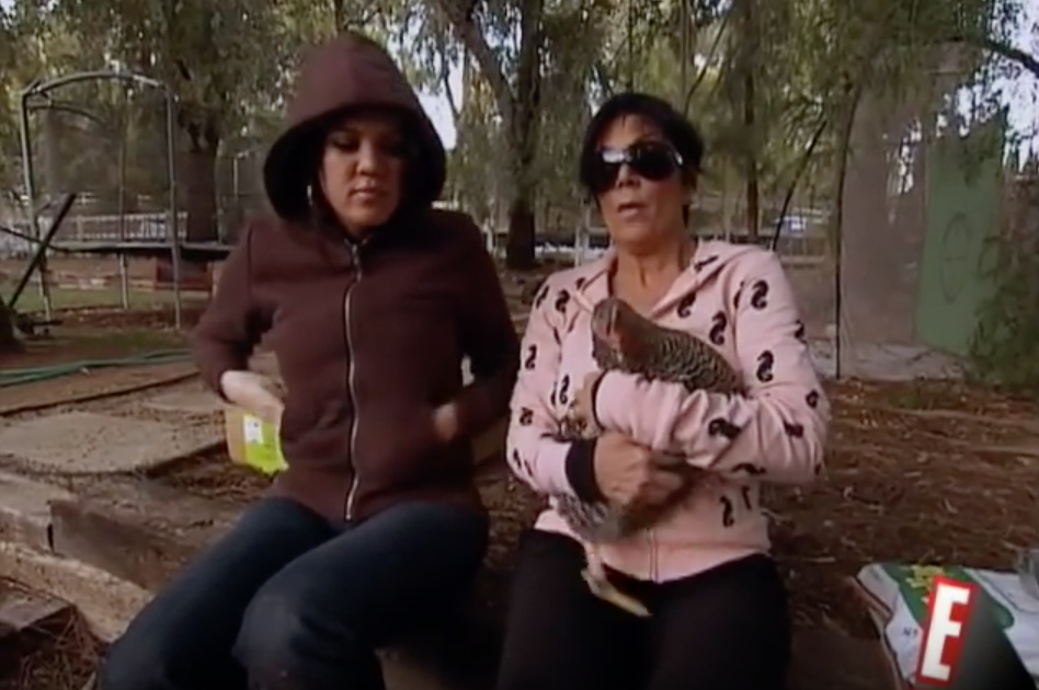 Funny kuwtk moments 15