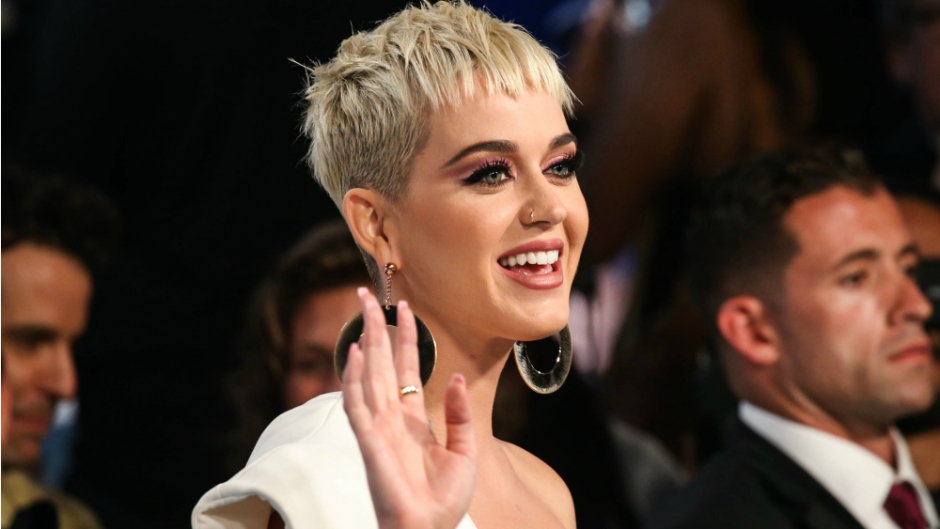 Katy perry sued