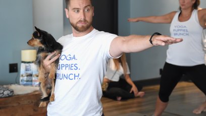 Lance bass doga