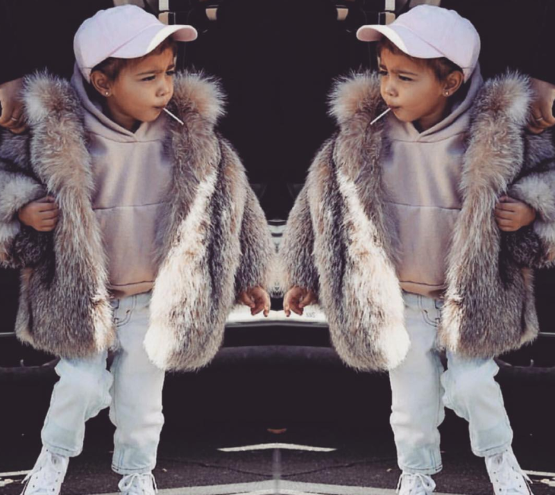 North fur coat