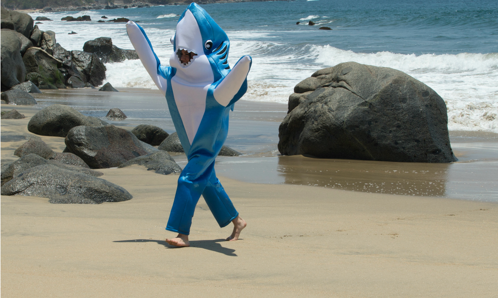 Bachelor in paradise time