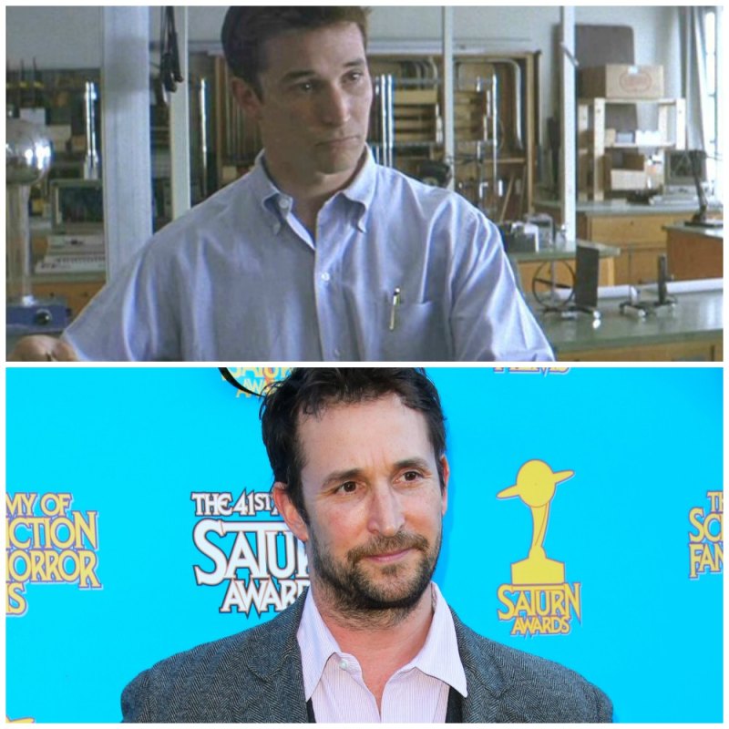 Donnie darko noah wyle